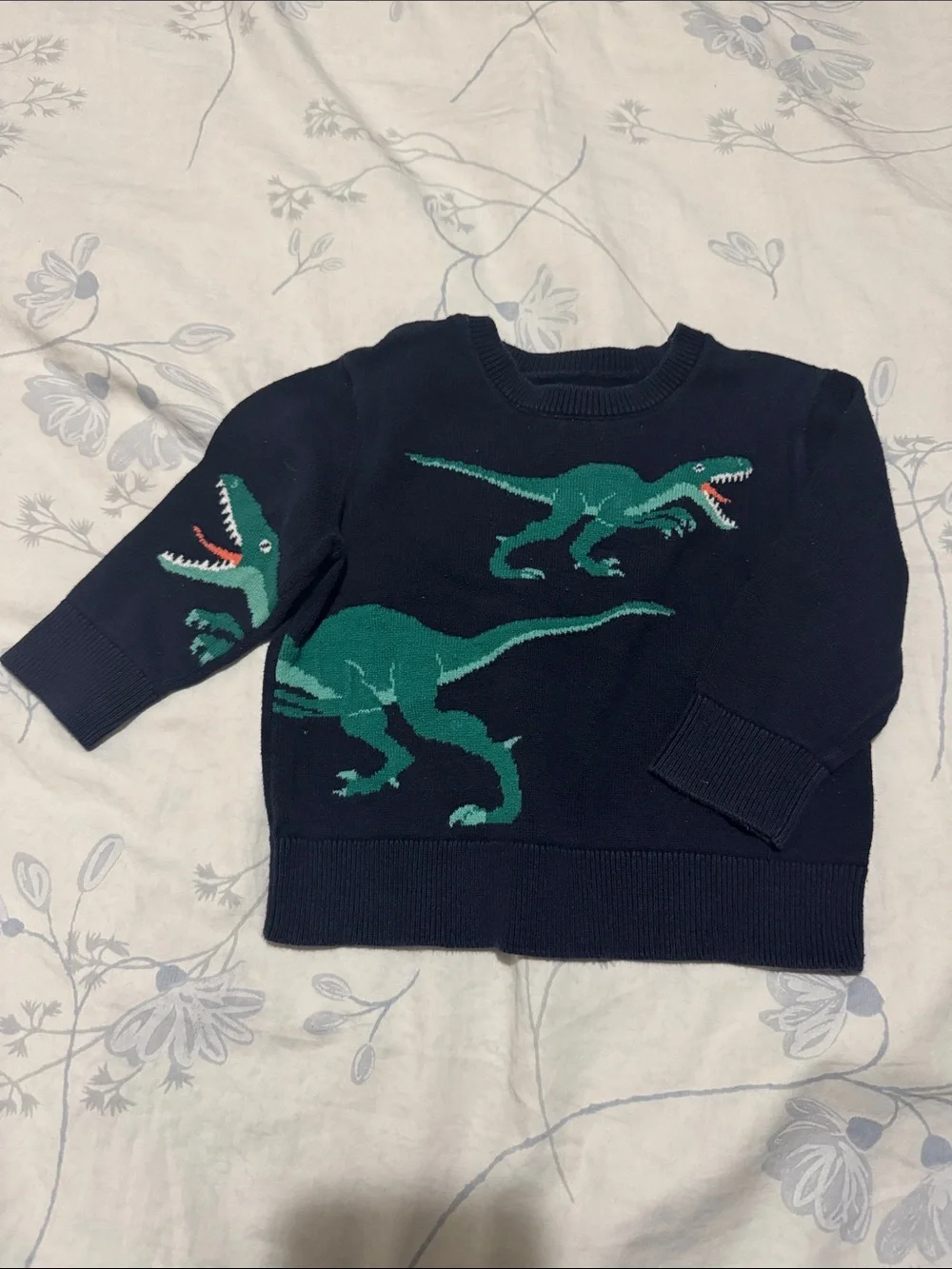 ⭐️Oshkosh Bgosh Baby Dinosaur Sweatshirt (Size: 12M)